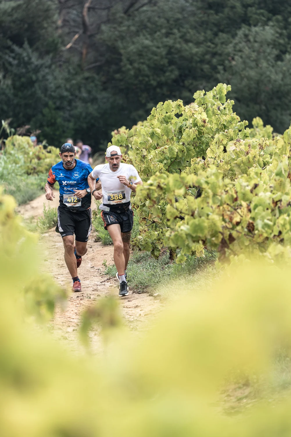 Corredores de Seven Marathons en montaña